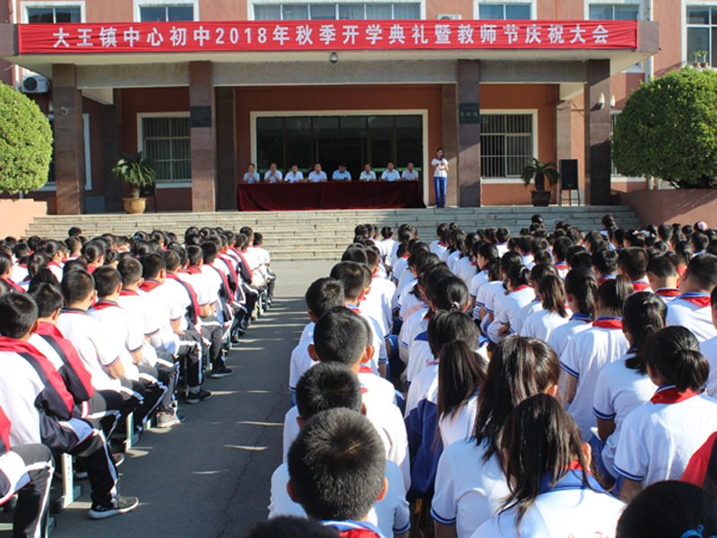 广饶县大王镇gdp2018_广饶县大王镇育才小学